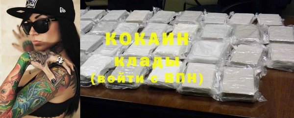 амф Козельск