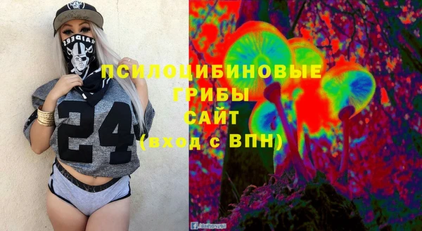амф Козельск