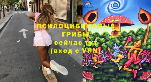 экстази Козловка
