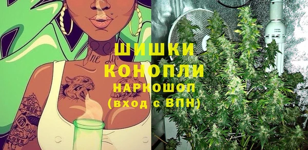 амф Козельск